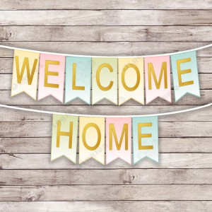 Welcome Home Baby Banner - Multi