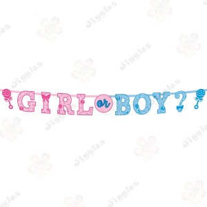 Boy or Girl? Gender Reveal Letter Banner