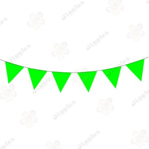 Light Green PVC Flag Bunting