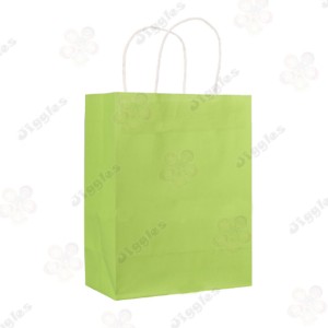 Pastel Green Kraft Paper Medium Bag