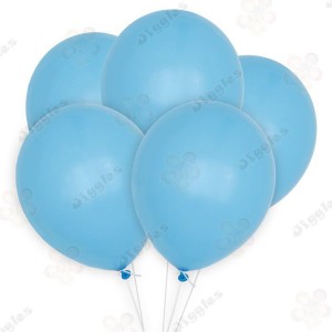 Light Blue Matte Balloons 12inch