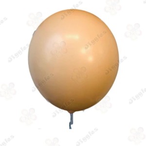 Pastel Orange Balloon 18inch